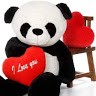 p_ bear