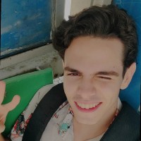 Pedro Raposo