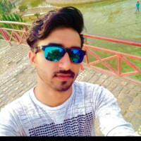 Amit Pal