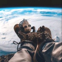 Gerardo Torres Zavala