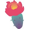 Desert Bloom