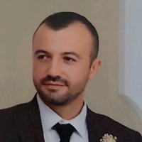 Mecnun Kurt