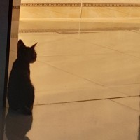 Trần Thị Tú Anh