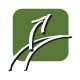 Shoquist Search Group