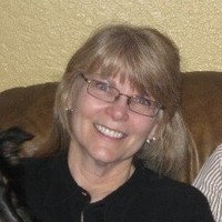 susan holmstrom