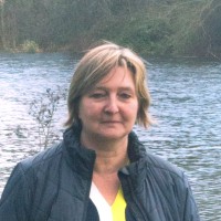 Dominique Van Staeyen