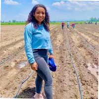 Karen Zuleima Hernandez Torres