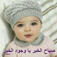 Hossam Eldin