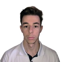 Michele Marzetti