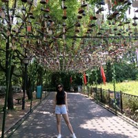 Sandy Yuan