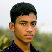Shah Md Rakibul Hasan