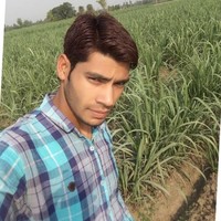 Kapil Pal
