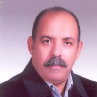 adel elbadry