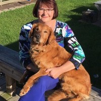 Sue Krenz, Cpcu, Cic, Au, Ains