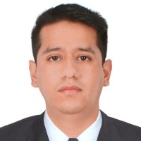 David Eli Julca Gonzales