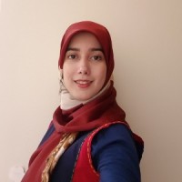Mehrsa Saadat