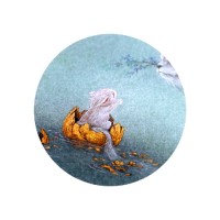 刘白杨