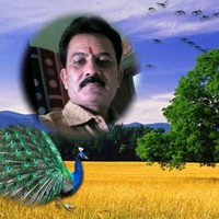 Tiwari Ji Ns Ispat Deepak Tiwari