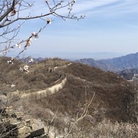 杨文龙