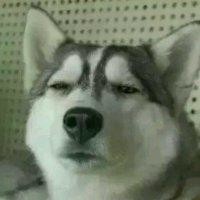 傅龙啸