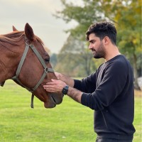 Rashid arabzada