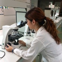 Andrea Dorante Parra