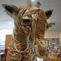Delray Library