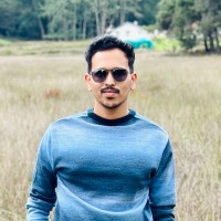 Krishna Zanwar