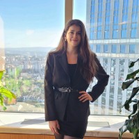 Dinemis Yavuz