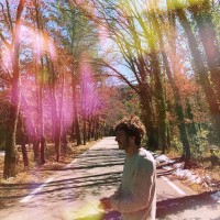 Maxime Alliaume
