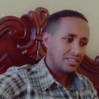 Alemayehu Shifera