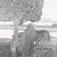 ذات الرداء الأسود .