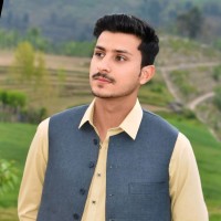 Hameed khan Jani