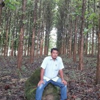 Arif Prasetya