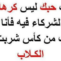 Fares Belhocine