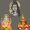 Gopi Narra