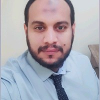 Ahmed Adel Hussein Mahmoud