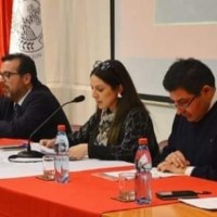 Cecilia S. Pérez Mora