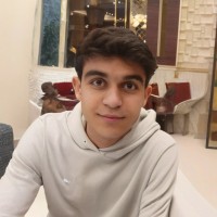 Mohammad Mahdi Robatjazi