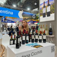 Maria Mercedes Cicchitti