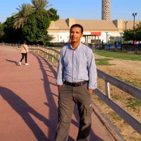 محمد عبد التواب