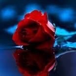 Butool Ahmedi