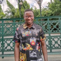 David Adesola Ajide