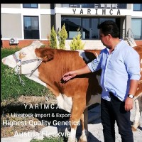 Y A R I M C A Et ve Süt Ürünleri