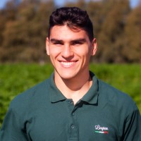 Nicola Cadoni