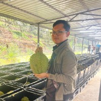 Izzat Syahmi