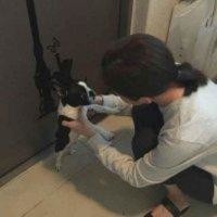 吴俊莹
