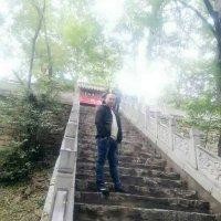 张元印