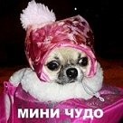 Волкова Марина