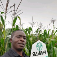 Robert Kayuwi